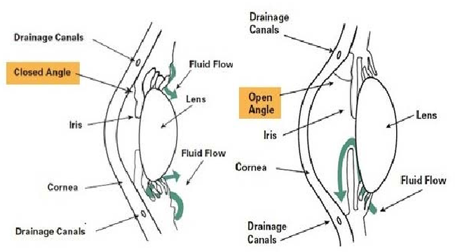 glc-angle-diagram (1)